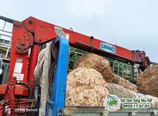 CHO THUÊ XE CẨU HÀNG HÓA GIÁ RẺ TẠI LIÊN CHIỂU - ĐÀ NẴNG 3 Cho ThuÊ Xe CẨu HÀng HÓa GiÁ RẺ TẠi LiÊn ChiỂu ĐÀ NẴng