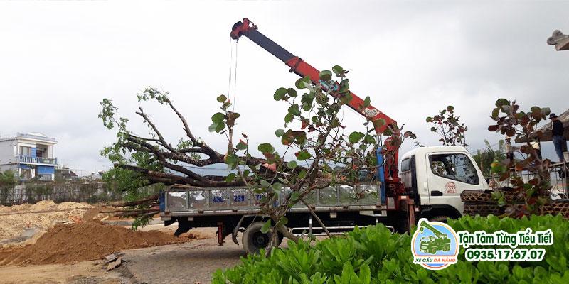 Cho Thuê Xe Cẩu Tự Hành Tại Đà Nẵng Giá Tốt