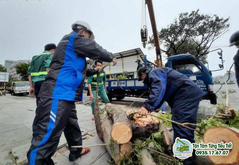 Dịch Vụ Xe Cẩu Vận Chuyển Cây Xanh, Cây Cảnh Nhanh Chóng Tại Đà Nẵng