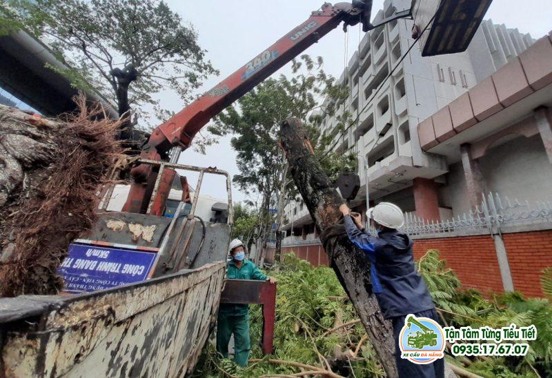 Dịch Vụ Xe Cẩu Vận Chuyển Cây Xanh, Cây Cảnh Nhanh Chóng Tại Đà Nẵng