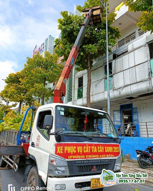 Dịch Vụ Xe Cẩu Vận Chuyển Cây Xanh, Cây Cảnh Nhanh Chóng Tại Đà Nẵng