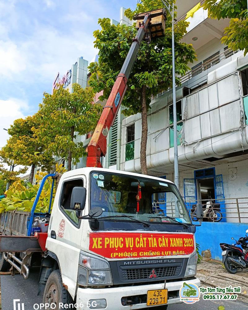 Dịch Vụ Xe Cẩu Vận Chuyển Cây Xanh, Cây Cảnh Nhanh Chóng Tại Đà Nẵng